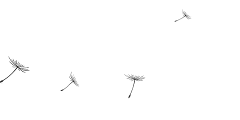 【NG娱乐
小百科】：“光洁度”标准，数据说了算！