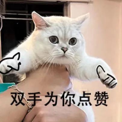 卓越品质的底气:NG娱乐精机T-V857S超严检测揭秘 卓越品质的底气:NG娱乐精机T-V857S超严检测揭秘