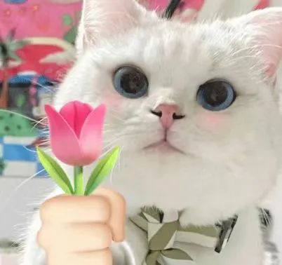 数控机床的8种常见故障及处理方法,轻松掌握! 数控机床的8种常见故障及处理方法,轻松掌握!