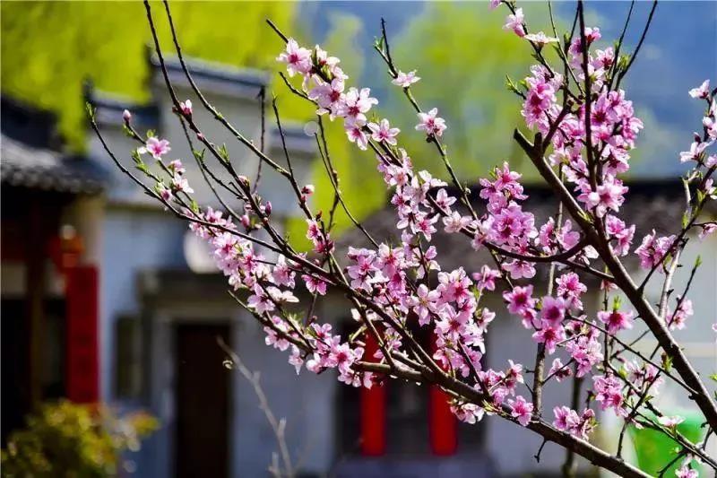 阳春三月,NG娱乐精机一大波展会即将来袭,您准备好了吗? 阳春三月,NG娱乐精机一大波展会即将来袭,您准备好了吗?