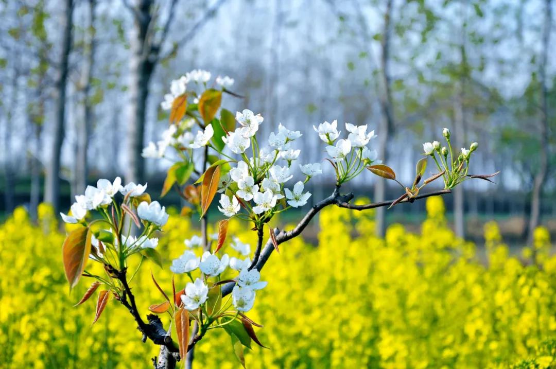 NG娱乐精机4月展会依旧精彩纷呈,与您相约,不见不散 NG娱乐精机4月展会依旧精彩纷呈,与您相约,不见不散