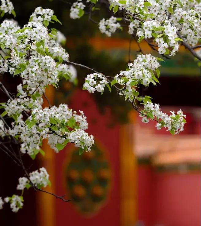 NG娱乐精机5月展会一览，等您来参观！